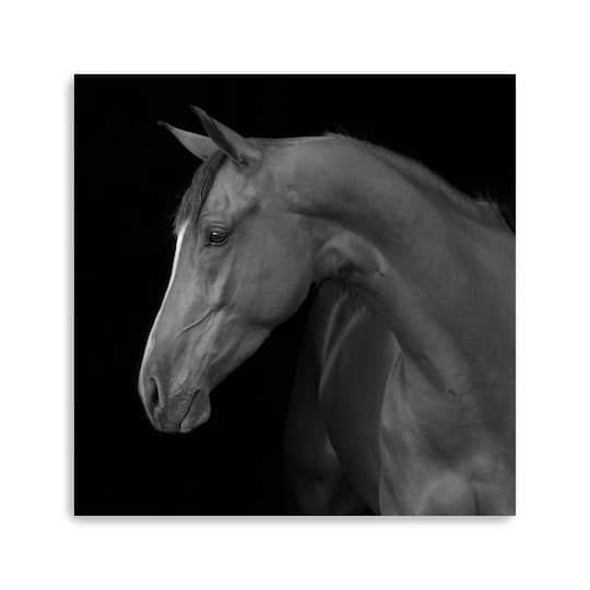 Lumaprints Jack Giclée Canvas